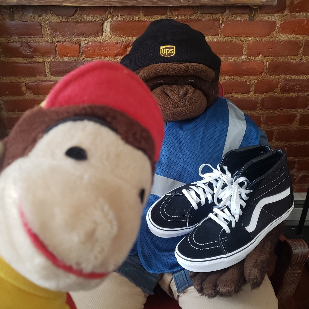 Van's Sneakers (Like New)